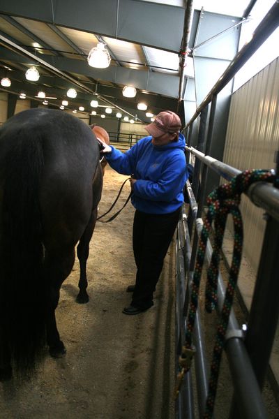 Before Showing. Photo by Pam McCulloch.