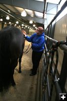 Before Showing. Photo by Pam McCulloch.