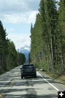 Scenic Drive. Photo by Cat Urbigkit, Pinedale Online.