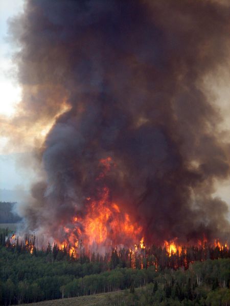 Burn Out Torching. Photo by Kirby Hedrick.