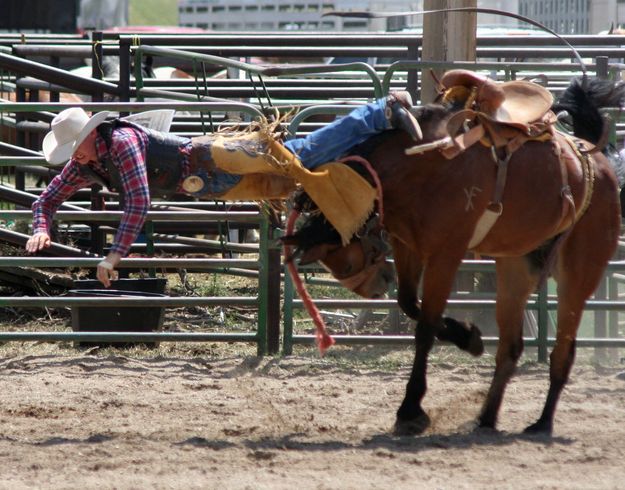 Saddle Bronk. Photo by Clint Gilchrist, Pinedale Online.