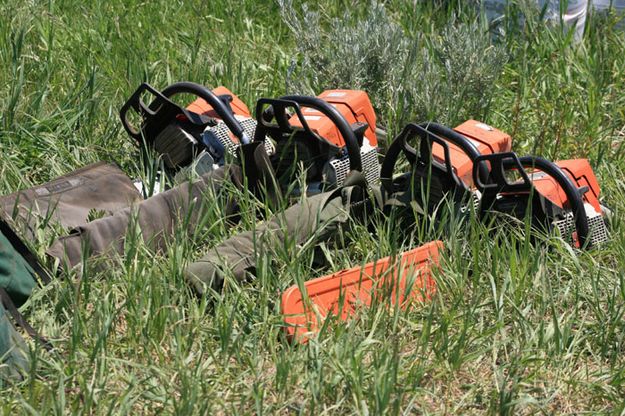 Chainsaws Ready. Photo by Dawn Ballou, Pinedale Online.
