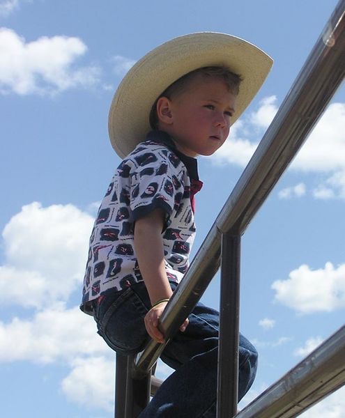 Cowkid. Photo by Dawn Ballou, Pinedale Online.