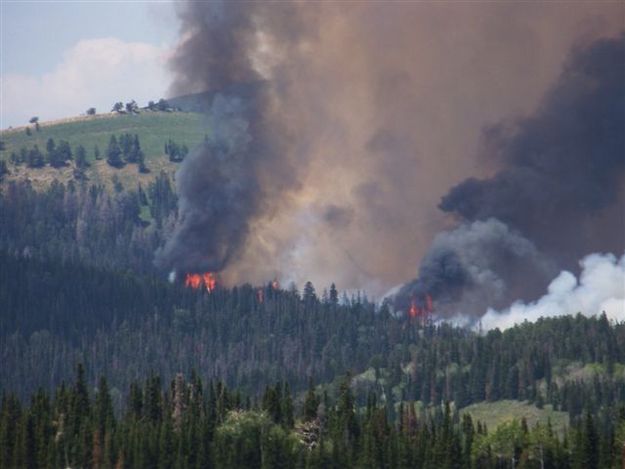 From Elk to S Horse Creek. Photo by Allene Dana.