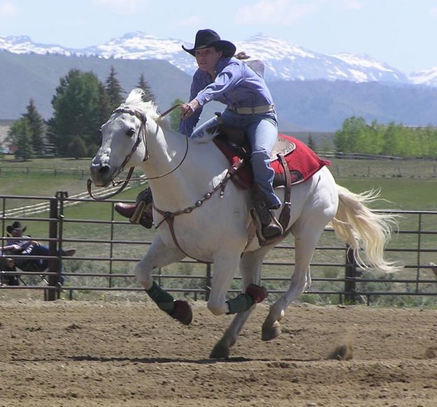 Poles. Photo by Dawn Ballou, Pinedale Online.