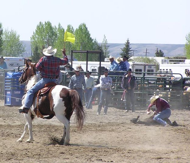 Calf Roping. Photo by Dawn Ballou, Pinedale Online.