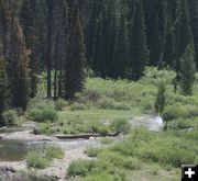 Creek Pump. Photo by Dawn Ballou, Pinedale Online.