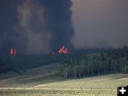 Fire crowning out. Photo by Allene Dana.