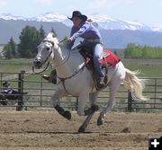 Poles. Photo by Dawn Ballou, Pinedale Online.