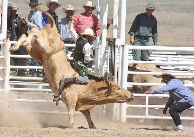 Bull Riding. Photo by Clint Gilchrist, Pinedale Online.