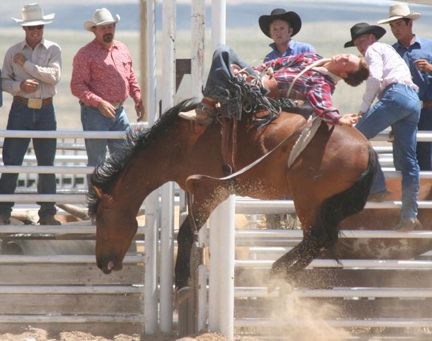 Bareback Riding. Photo by Clint Gilchrist, Pinedale Online.