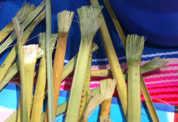 Paint Brushes. Photo by Emma McCulloch.