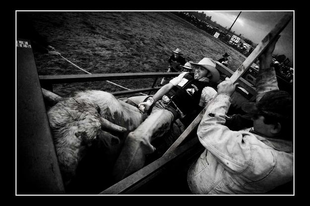 Before the chute opens. Photo by Tara Bolgiano, Blushing Crow Photography.