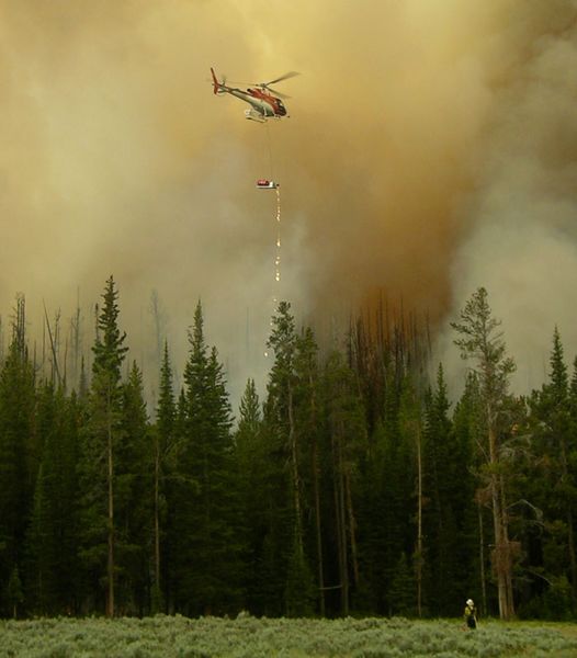 Drip torch burn. Photo by Bridger-Teton National Forest.