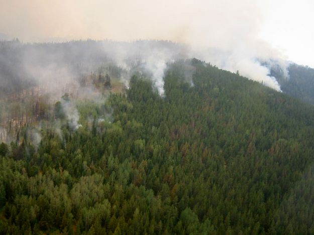 Spot Fires. Photo by  Bridger-Teton National Forest.