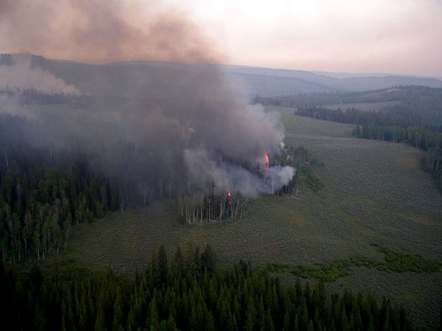 Natural fire breaks. Photo by Bridger-Teton National Forest.