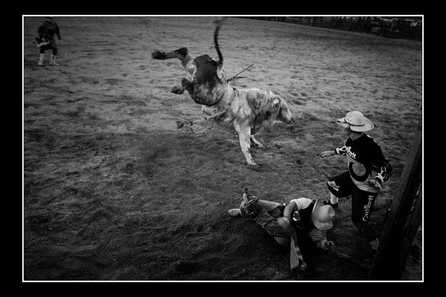 Bull kick. Photo by Tara Bolgiano, Blushing Crow Photography.