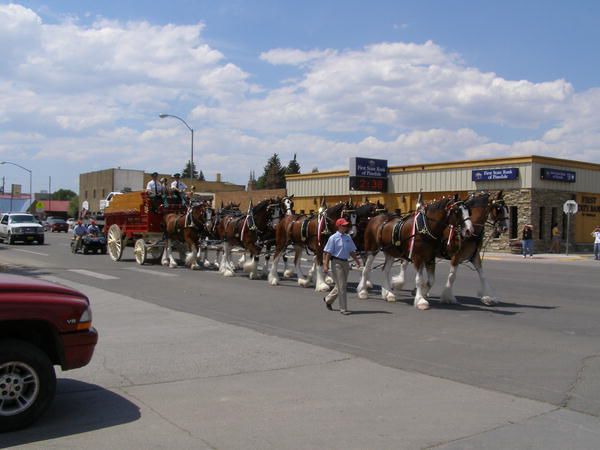 Down Pine Street. Photo by Sue Sommers.