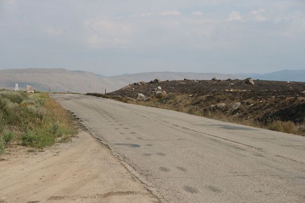 Jumped the road. Photo by Dawn Ballou, Pinedale Online.