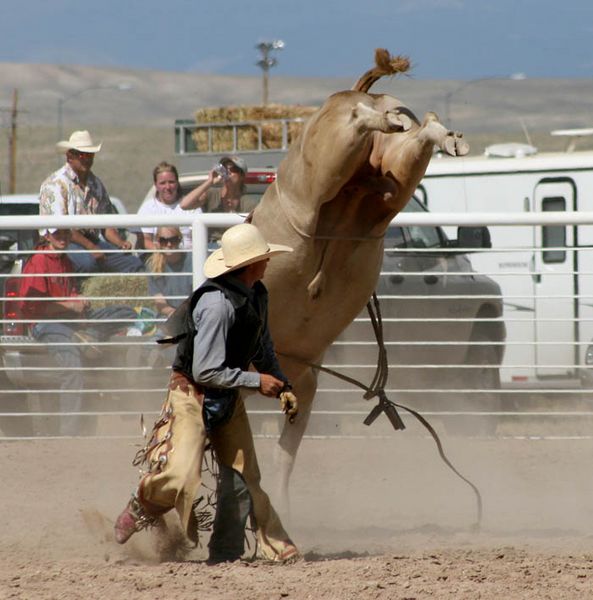 Watch the kick. Photo by Dawn Ballou, Pinedale Online.