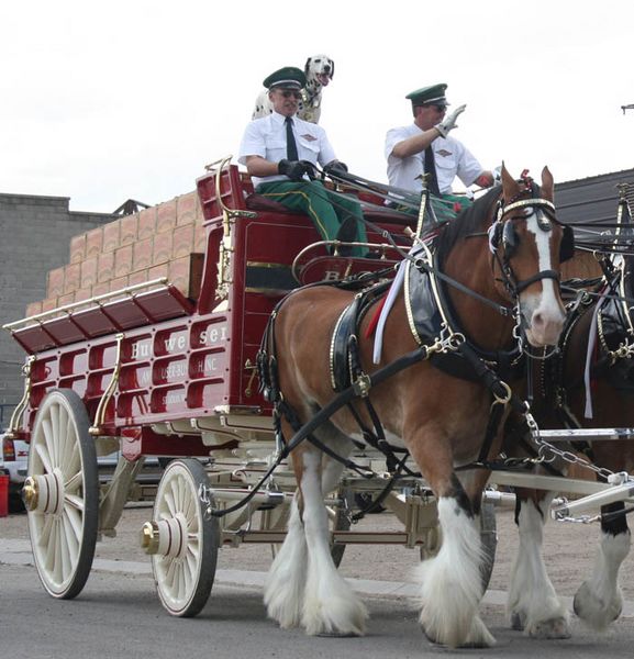 Waving Goodbye. Photo by Dawn Ballou, Pinedale Online.