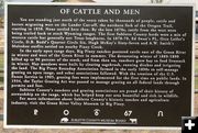 Of Cattle and Men. Photo by Dawn Ballou, Pinedale Online.