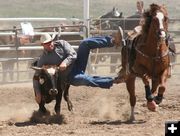 Steer Wrestling. Photo by Clint Gilchrist, Pinedale Online.