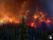 Hot Burn. Photo by Bridger-Teton National Forest.