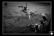 Bull kick. Photo by Tara Bolgiano, Blushing Crow Photography.