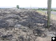 Charred fencepost. Photo by Bob Rule/KPIN 101.1 FM Pinedale Radio.