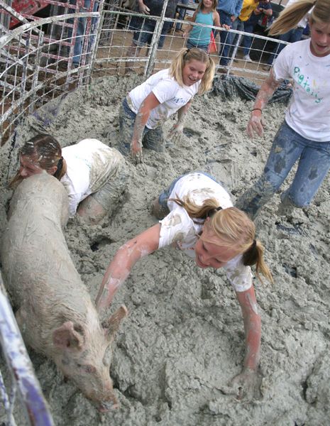 Pig Wrestling. Photo by Pam McCulloch, Pinedale Online.