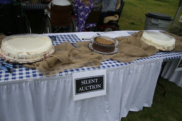Silent Auction. Photo by Pam McCulloch.