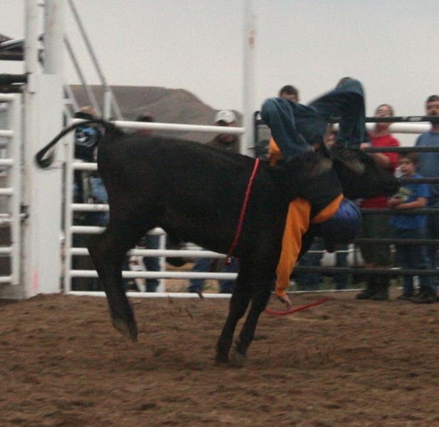 Matthew Mittler. Photo by Dawn Ballou, Pinedale Online.