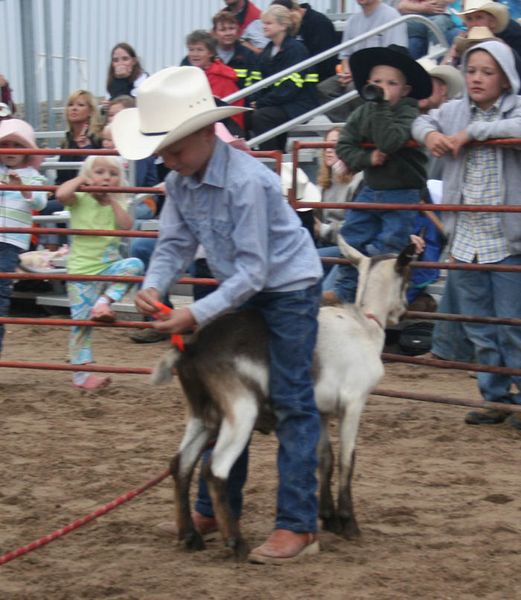 Goat TailTying. Photo by Dawn Ballou, Pinedale Online.