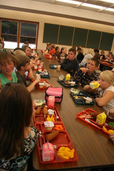 Lunch Time. Photo by Pam McCulloch.