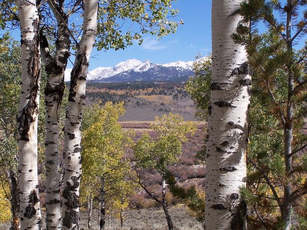 Perfect View. Photo by Scott Almdale.