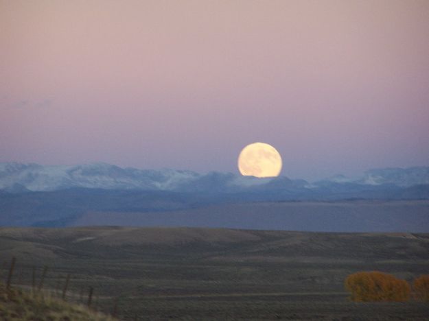 Harvest Moon. Photo by Scott Almdale.