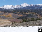 Fresh Snow. Photo by Scott Almdale.