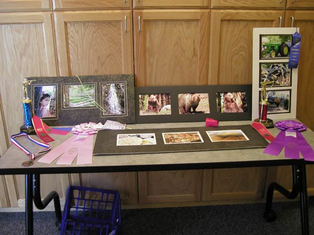 4-H and Fair projects. Photo by 4-H.