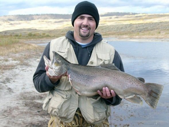 21#, 31-inch Brown Trout. Photo by Randy Davis.