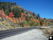 Snake River Canyon colors. Photo by Cyd Goodrich.