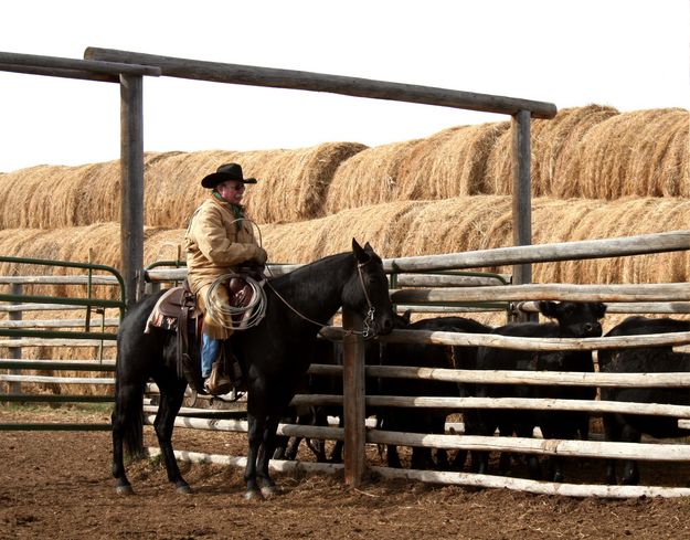 Cowboy Steve James. Photo by Joy Ufford.