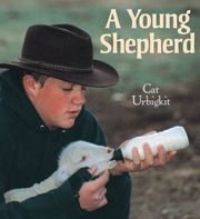 A Young Shepherd. Photo by Cat Urbigkit.