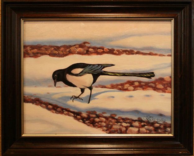 Kiler's Magpie. Photo by Dawn Ballou, Pinedale Online.