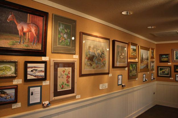 Wall display. Photo by Dawn Ballou, Pinedale Online.