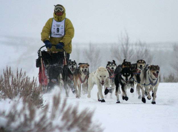 Jarle Halsnes. Photo by Clint Gilchrist, Pinedale Online.