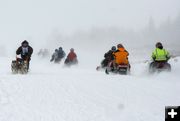 Sharing the Trail. Photo by Pinedale Online.