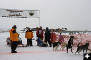 Starting Line. Photo by Dawn Ballou, Pinedale Online.