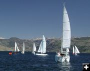 Sail boats. Photo by Pinedale Online.