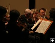 Violins. Photo by Pam McCulloch.